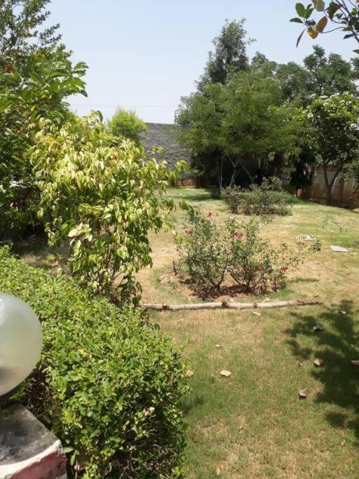 Villa Achal Farm जंगल में मंगल Gurgaon Esterno foto