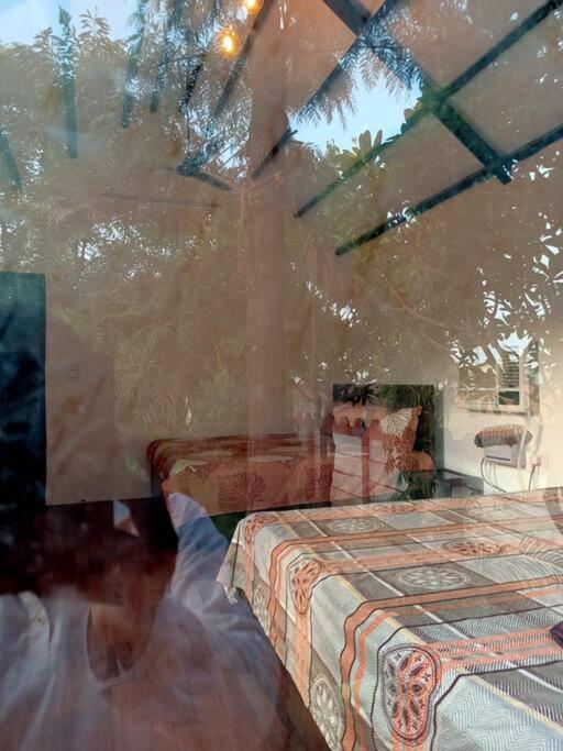 Villa Achal Farm जंगल में मंगल Gurgaon Esterno foto
