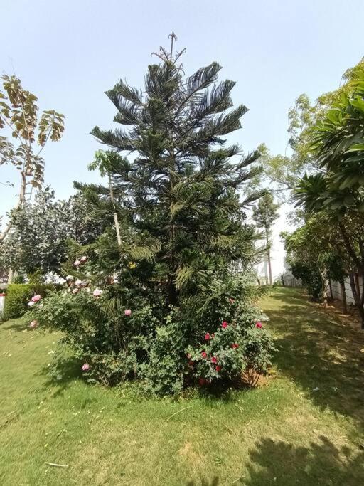 Villa Achal Farm जंगल में मंगल Gurgaon Esterno foto