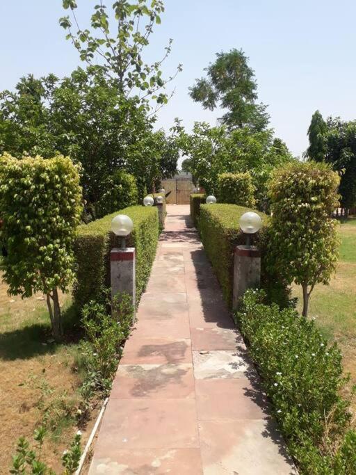 Villa Achal Farm जंगल में मंगल Gurgaon Esterno foto