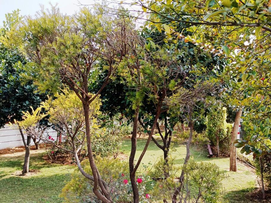 Villa Achal Farm जंगल में मंगल Gurgaon Esterno foto